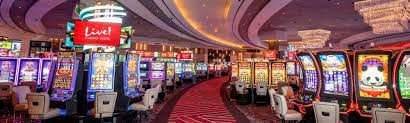 Barishal mobile leisure browsing with sports and casino sections on 7u7 bet app